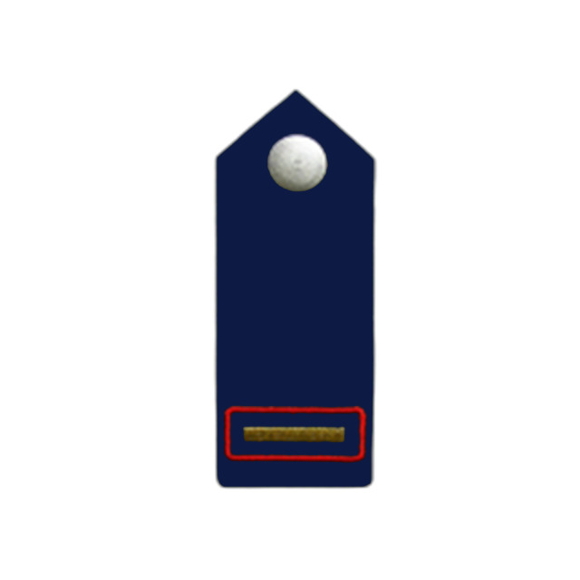 Schulterklappen, auf blauem Köper, Knopf silbern/gold
